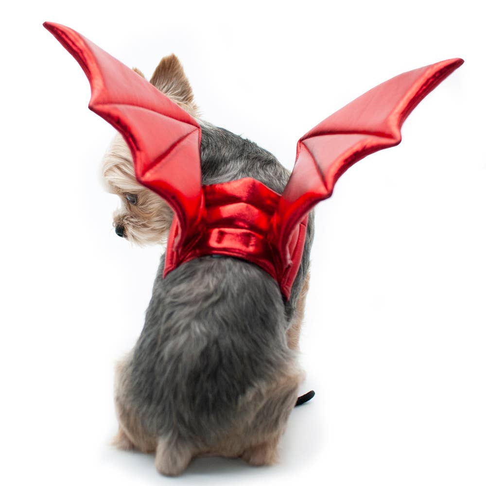 Dragon/Devil Wings Pet Costume