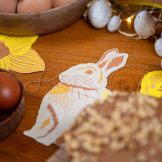 Rabbit and Chick Garland