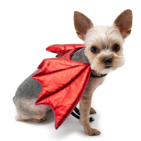 Dragon/Devil Wings Pet Costume