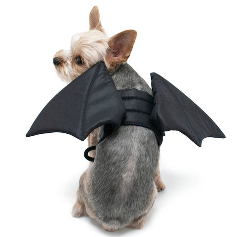 Bat Wings Pet Costume